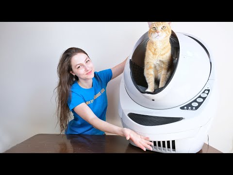 Litter Robot III Connect Review (We Tested It For 2 Weeks)
