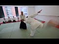 Aikido dublin ireland 2016  cyril lagrasta