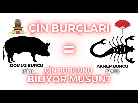 Video: Çin hayvan burcum nedir?