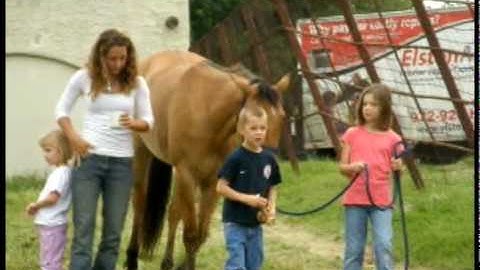 Valley View Ranch   - Smart Skipa Lena -      ***For info, price, etc., go to our website***