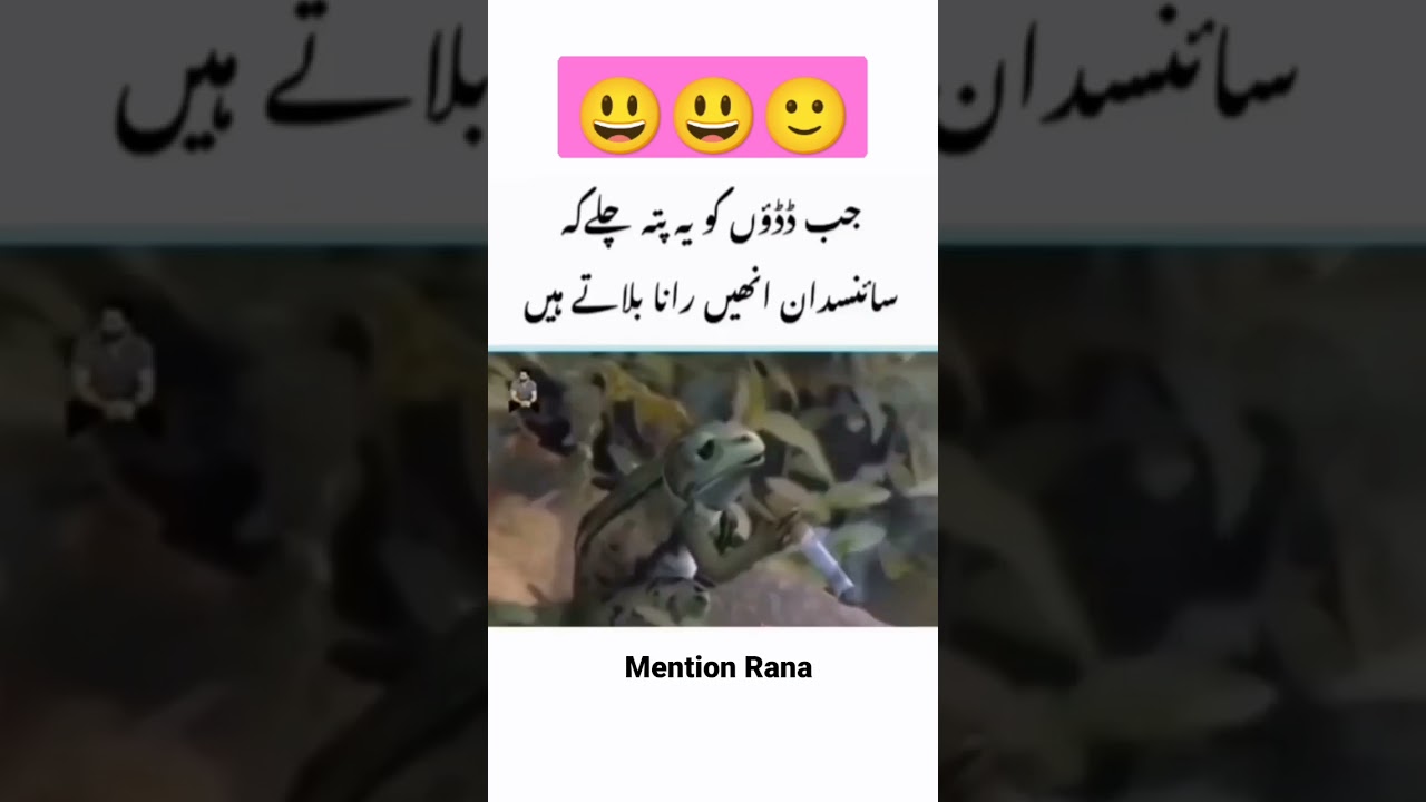 when frog know he is called Rana in Scientific Name🤣🤣🤣, 