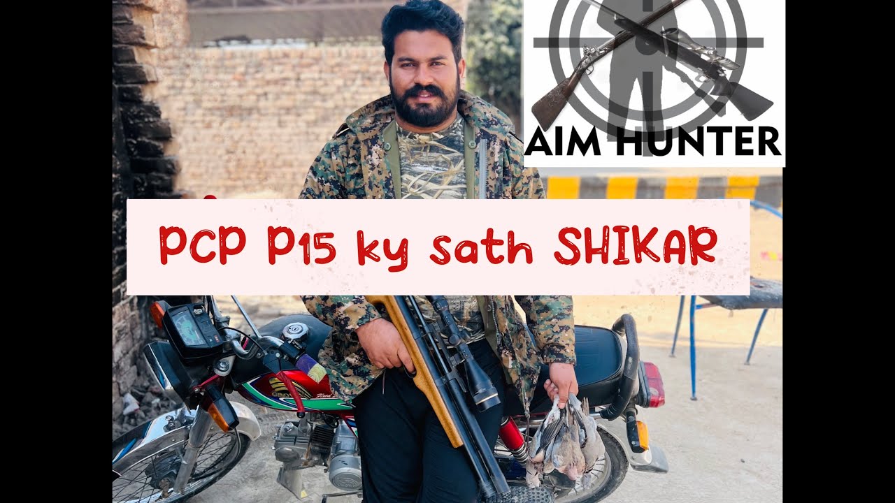 Dove hunting with pcp 15 air rifle session 2023 YouTube