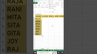 Excel Tip: Use the Format Painter to Quickly Duplicate Formatting |use format painter in excel