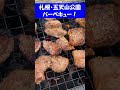 【札幌グルメ】五天山公園でBBQ!自然の中で牛串・焼きそば・スモアまで楽しんできた!