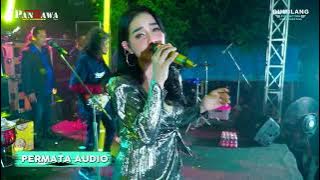 NEW PANDAWA MUSIC - BIMBANG - LALA WIDI - WEDDING WINDA & MAS HADI KEDONDONG DEMAK