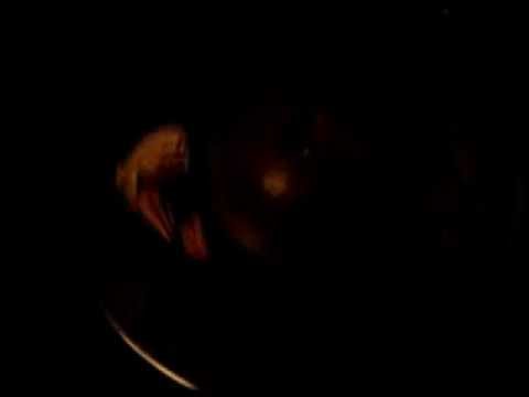 SHORTY LONG-BURNT TOAST AND BLACK COFFEE(RCA VICTOR)