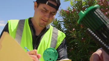 Tree Theory Deep Root Irrigation and Aeration IV