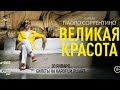 «Великая красота» предисловие от Всеволода Коршунова