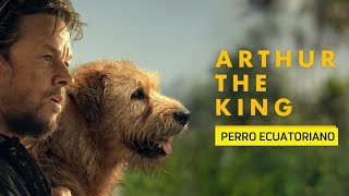 Crítica: ARTHUR EL REY  PERRO ECUATORIANO ¿No se NOMBRA ECUADOR? ¿Historia REAL? ¿VALE LA PENA?