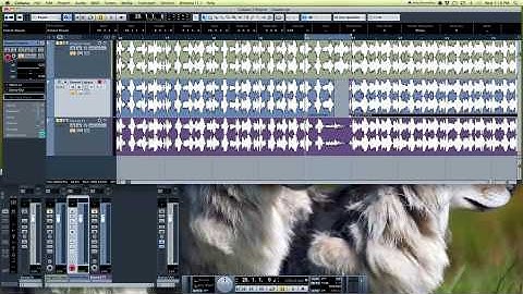 Tape Stop in Cubase 5