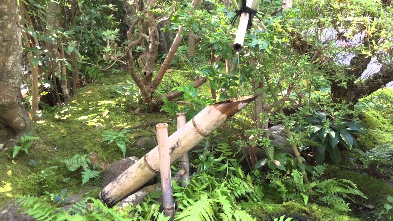 京都嵯峨野 落柿舎 の鹿威し Kyoto Youtube