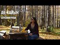 Берёзовая роща Ак-Кайын | Осенняя прогулка в Ак Каин