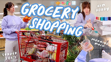 Grocery Shopping @ Trader Joes + New Hobby Epic Fail!!! Vlogmas Day 6