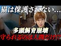 【これがリアル】多頭飼育崩壊が生む”見えない被害者とは”