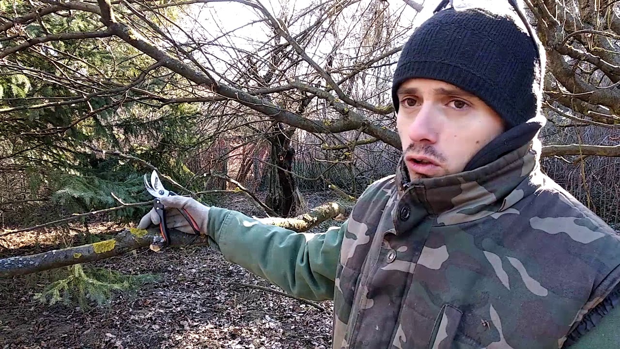 A Tanyasi Projekt - Fametszés, favágás, tereprendezés (1. rész)