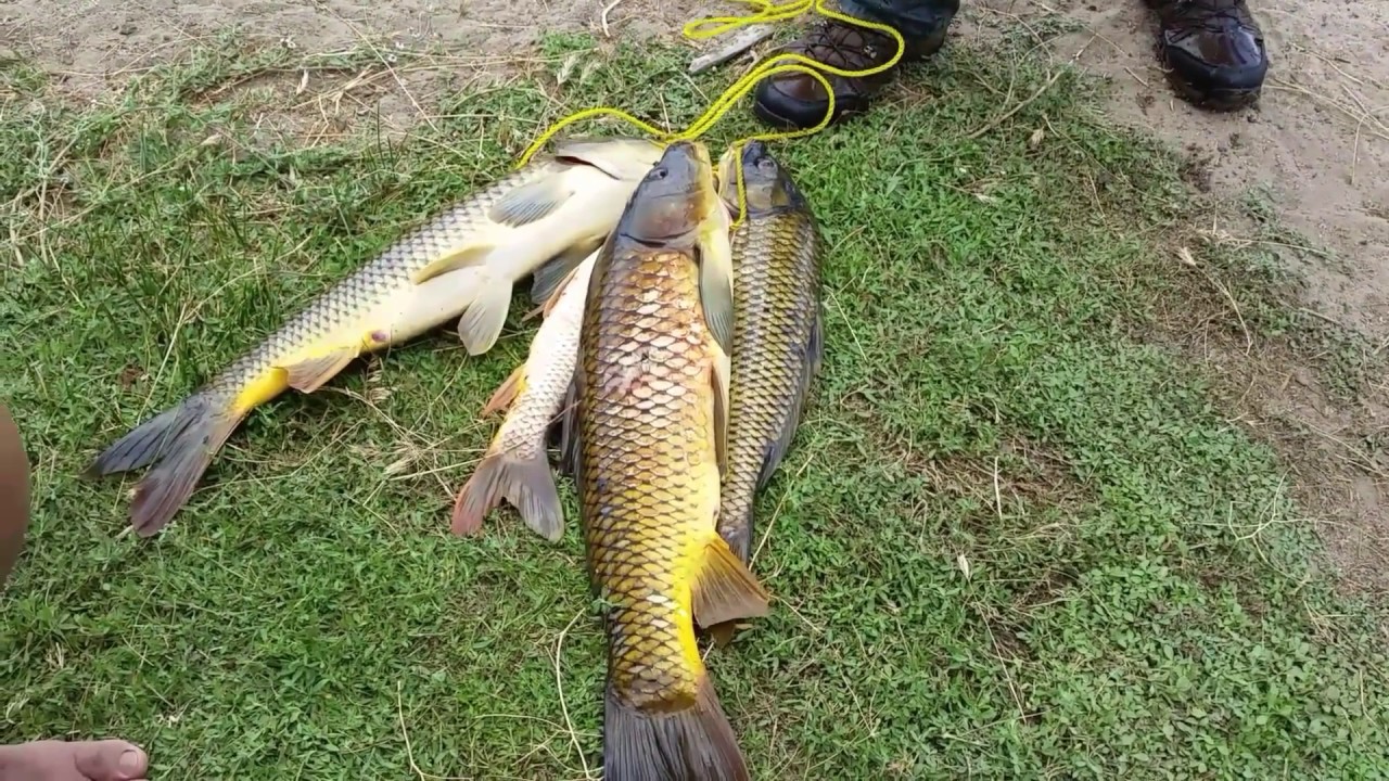 Fishing Lake Isabella YouTube