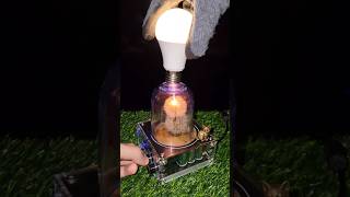 🤯 Physics: two dry dandelions + tesla coil #experiment #plant #flower