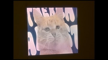 신타펑크(Syntapunk) - 구원(Salvation)