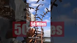 Top 5 Fastest Rides At Disney World