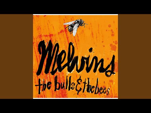 Melvins - Youth of America