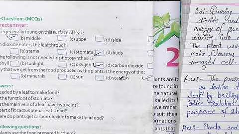 Class 4 Science //Chapter 1 Green Plant / Long  Question &Answer // part 2