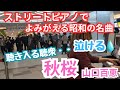 【ストリートピアノ】『秋桜 』 山口百恵/さだまさし 日本の名曲を弾いたら聴衆が感動に 