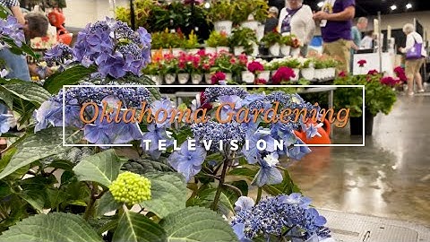 Ball Seed Horticultural Company