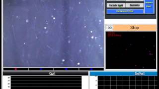 PIV(Particle Image Velocimetry)