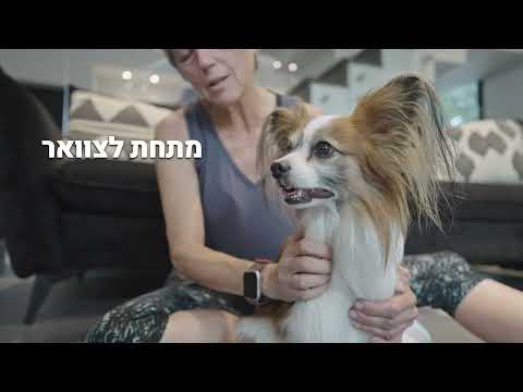 חרדה בעיסוי לכלבים - פטפיינדר