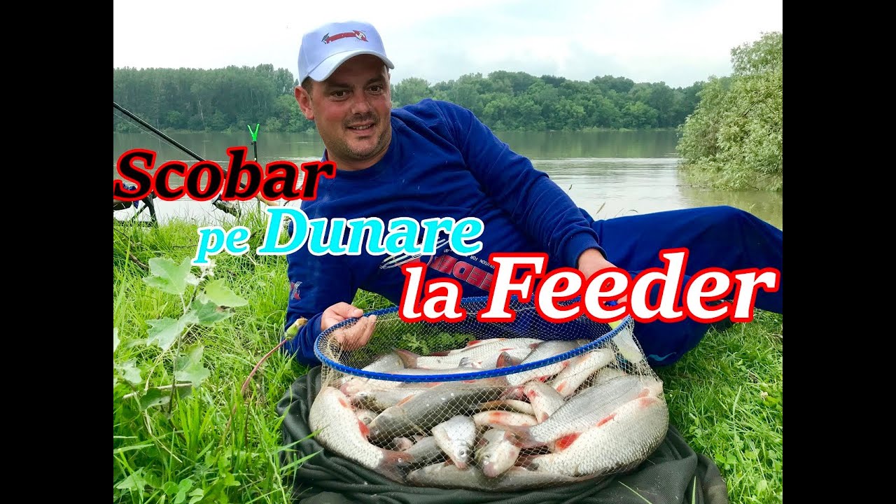 Scobari la Dunare cu Feederul