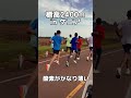【ケニア合宿】マラソンチームの25kmに密着したらとんでもない選手の集まりだった...標高2400mでの練習! #kenya #running #marathon