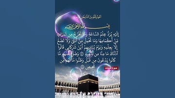 سورة فصلت الآية ( 47 )