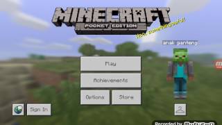 Petualangan Roaer Coaster