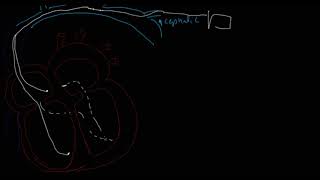 Famous Introduction to Pacemaker Basics Net Worth