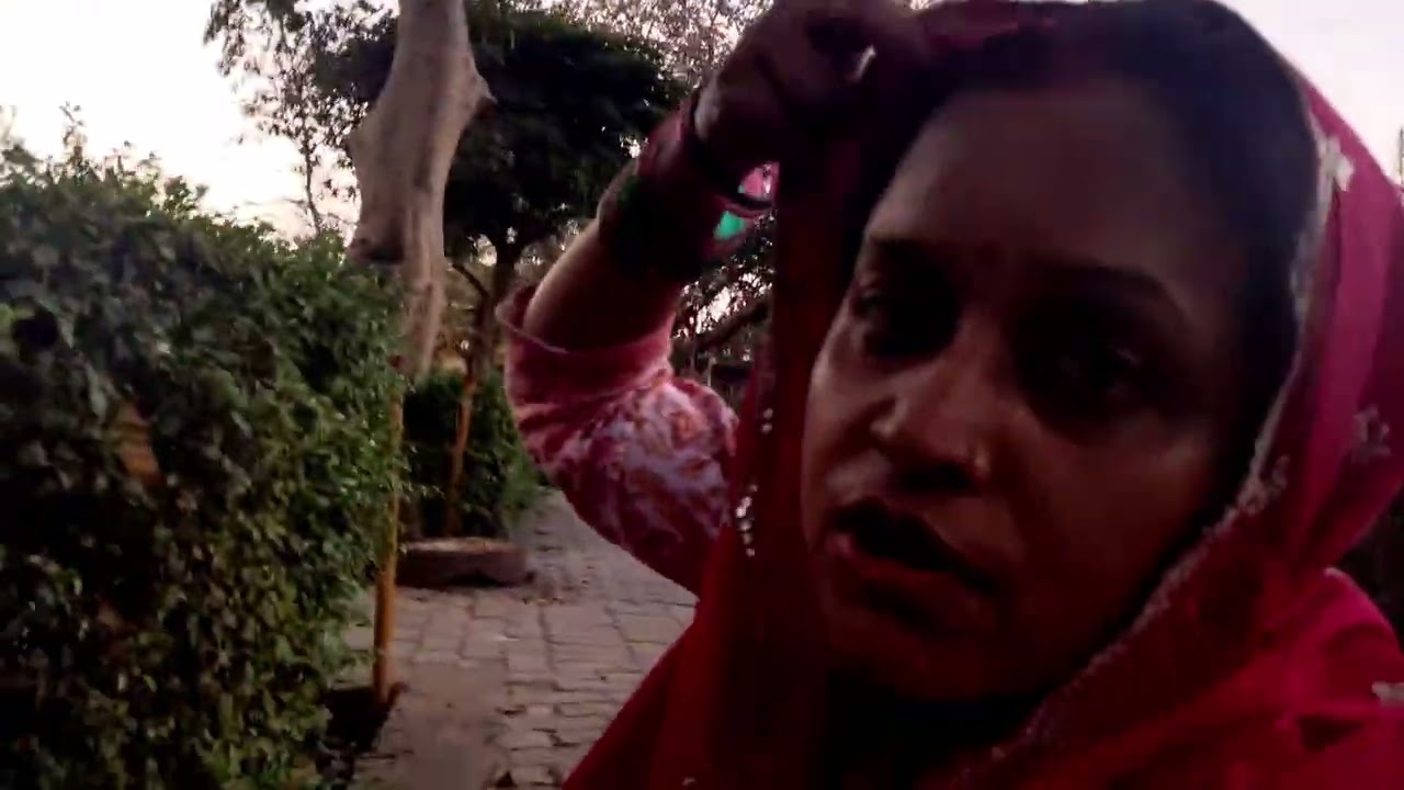 My New Vlog#आज हम लोग पार्क आये हैं बेलपत्र वृक्ष के नीचे दीया जलाने 🪔🪔🪔🪔🙏🙏🙏🌺🌺🌺#video#park#shivratri