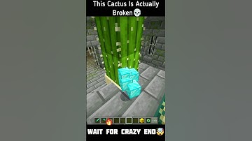 Minecraft Shorts: Cactus That Broke the End Portal?! 😱💥 #minecraft #shorts