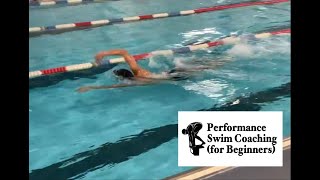 Freestyle Swim Catchup Drill Technique
