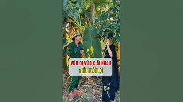 Các Cụ Bảo Cấm Có Sai #funny #giaitri #haihuoc