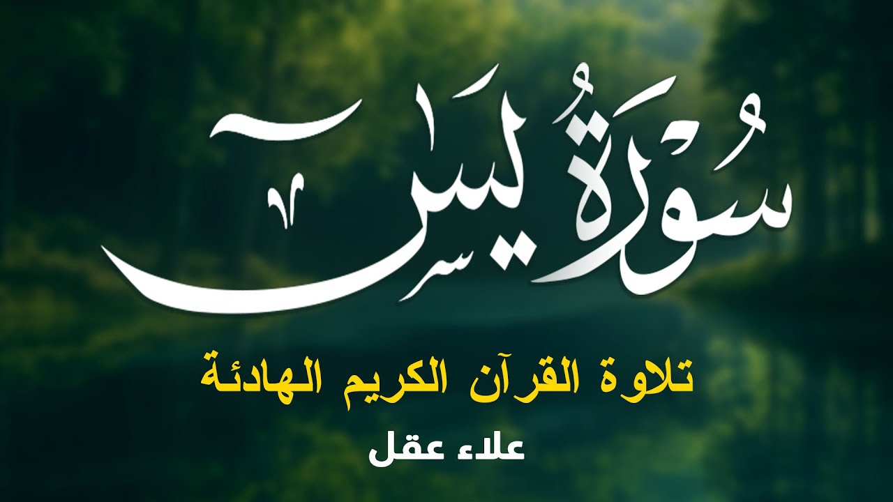 سورة يس من أجمل الأصوات في العالم تلاوة تريح القلب القارئ علاء عقل Surah Yasin By Alaa Aqel