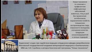 видео: Что делать если не отделяется послед? Беседа специалистов. картинка: Что делать если не отделяется послед? Беседа специалистов.