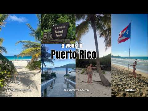 A Week in Puerto Rico 🇵🇷🌴 | Beach Days, Good Food & Island Adventures