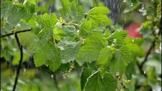 Best of Malawi Gospel Collection