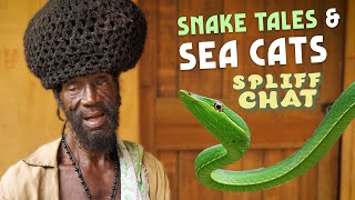 Snake Tales and Sea Cats