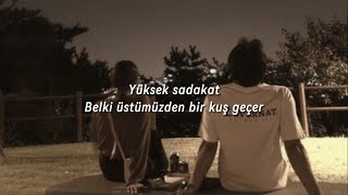 Yüksek Sadakat - Belki Üstümüzden Bir Kuş Geçer (Sözleri) Resimi