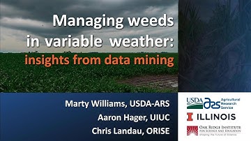 Managing weeds in variable weather: insights from data mining