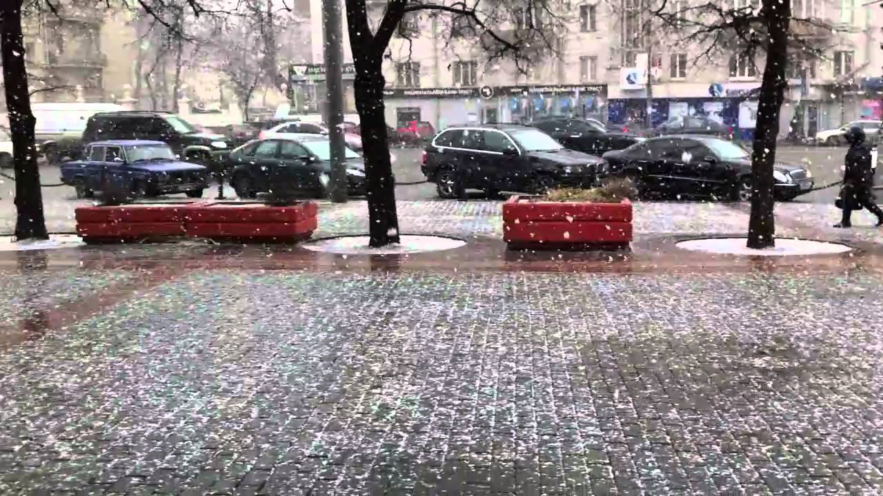 Влажность в Москве сейчас. Погода в Москве. Сегодня дождьтрехпрутни. Погода на улице в видном