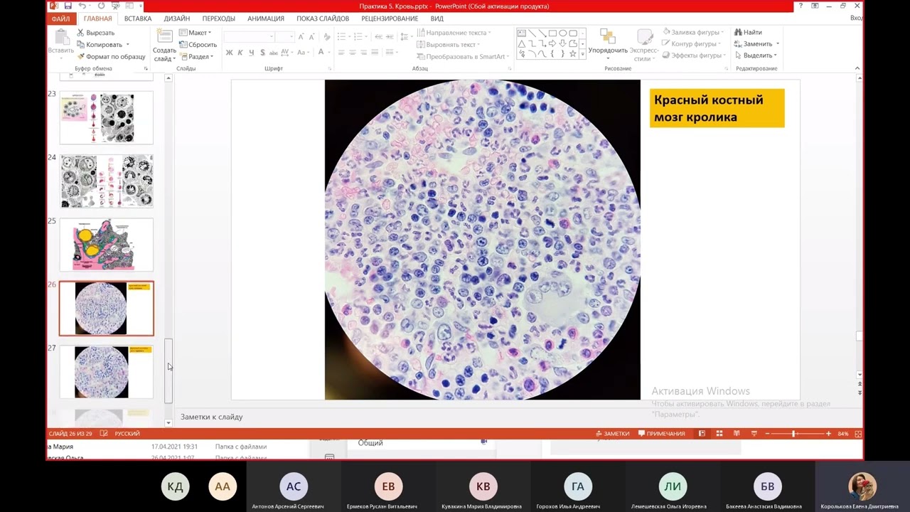 Гистология общая семинары   Королькова Е Д    Google Chrome 2023 05 10 15 12 33