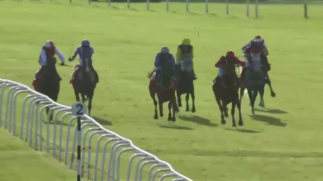 (. UPSTART CROW)9 Race Windsor 15 Apr 2024