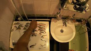 видео: Новые модели воблеров ! Демонстрация игры . картинка: Новые модели воблеров ! Демонстрация игры .