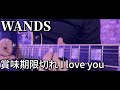 賞味期限切れI love you/WANDS 弾いて歌ってみた【guitar cover】